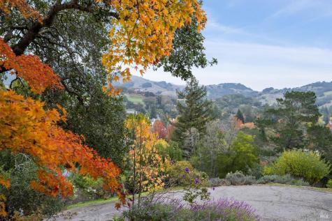 16 Dutch Valley Lane San Anselmo CA 94960