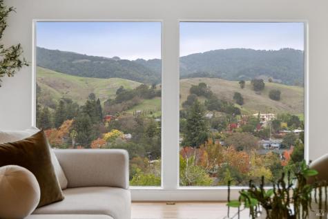 16 Dutch Valley Lane San Anselmo CA 94960