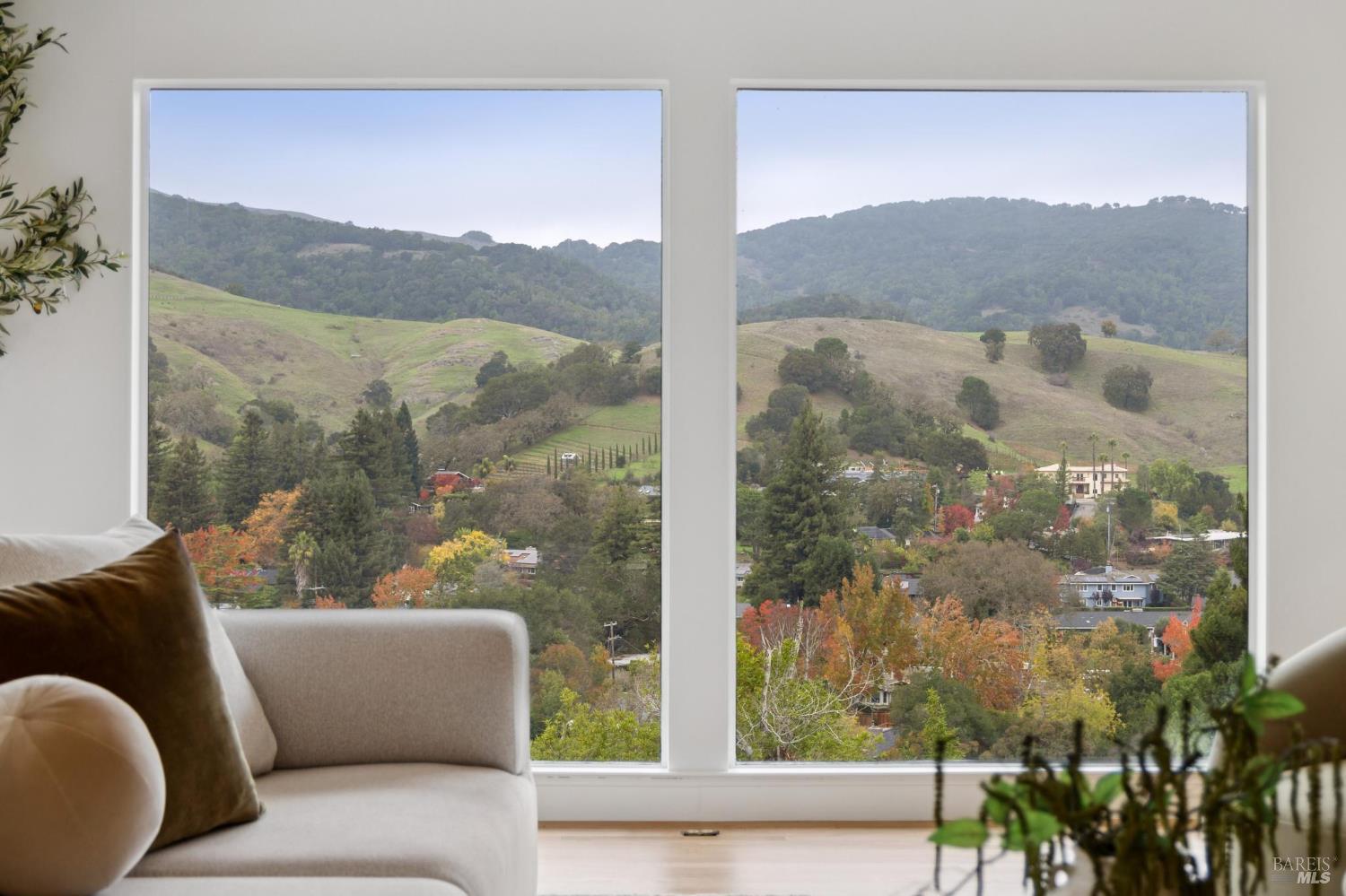 16 Dutch Valley Lane San Anselmo CA 94960