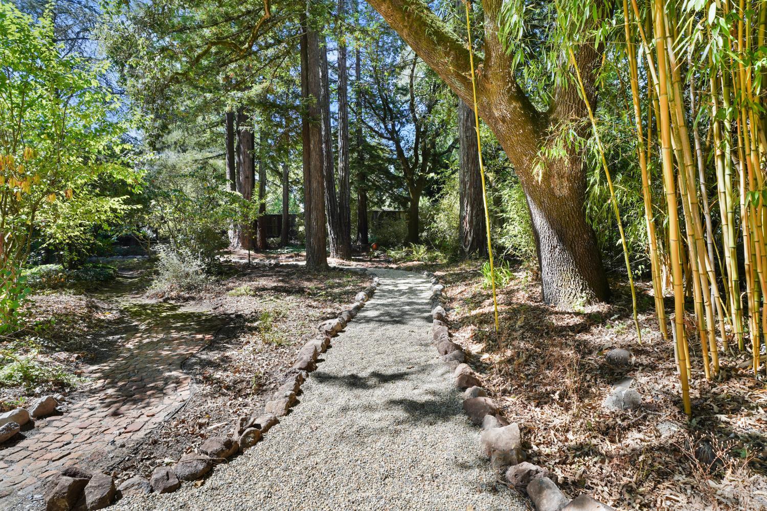 9787 Mill Station Road Sebastopol CA 95472