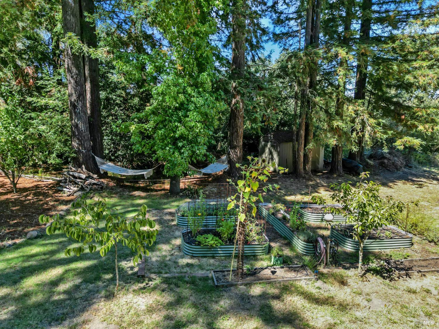 9787 Mill Station Road Sebastopol CA 95472
