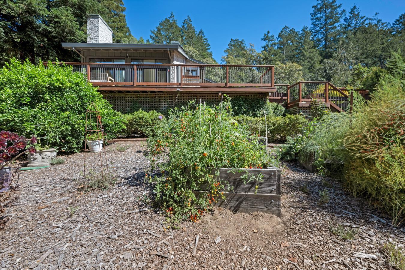 12300 Elliott Lane Sebastopol CA 95472