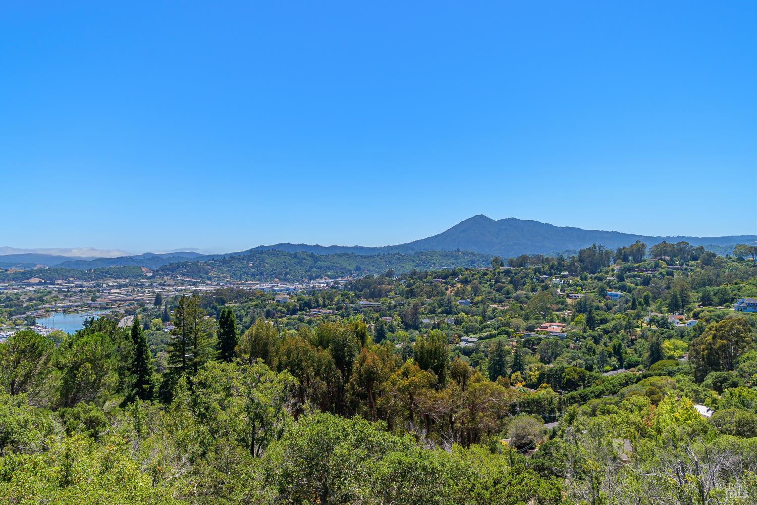 285 Margarita Drive San Rafael CA 94901