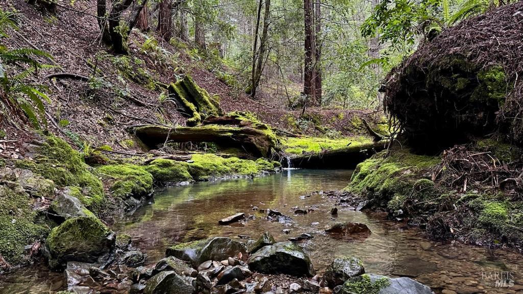 2333 Guntley Road Philo CA 95466