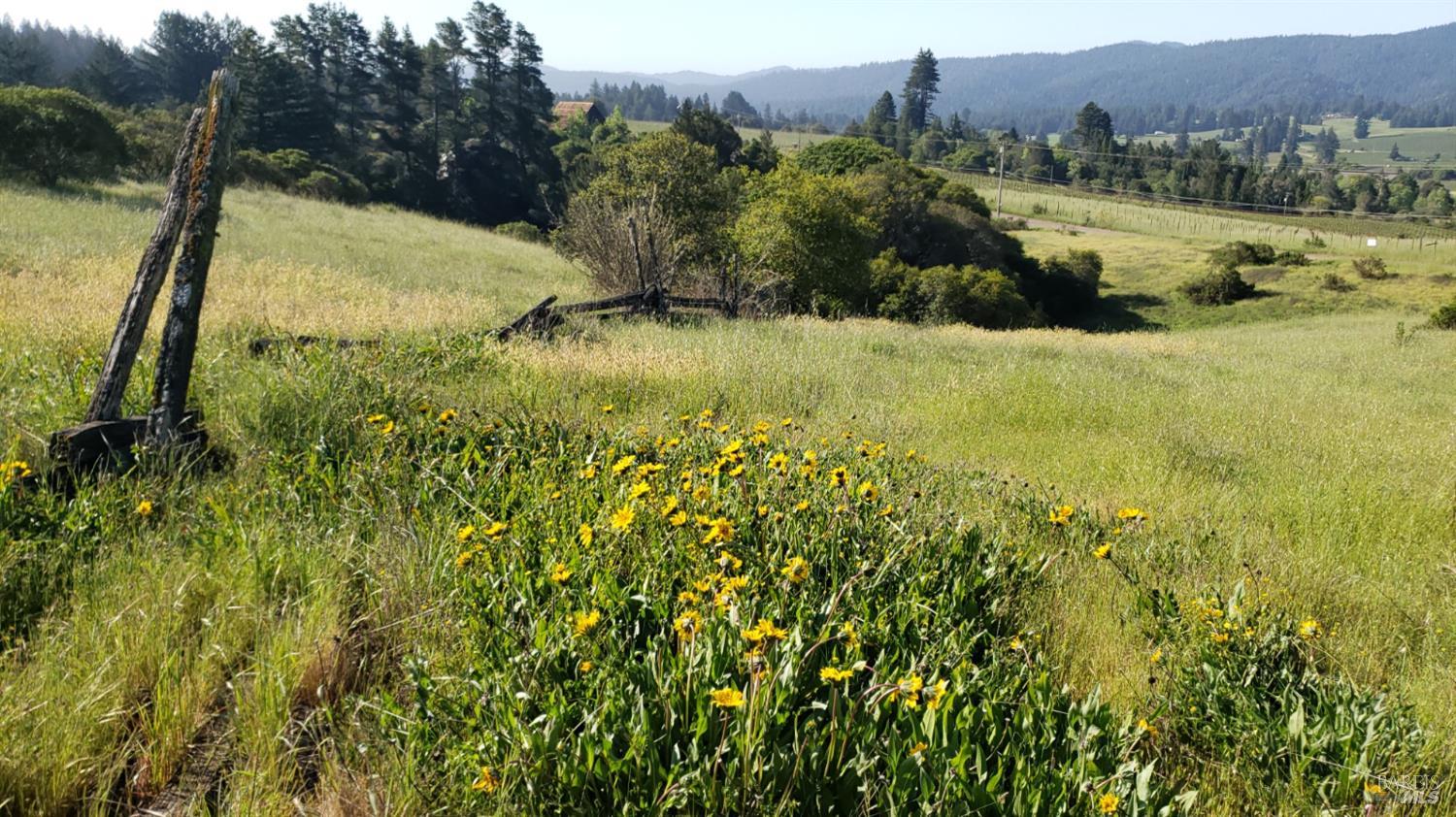 2333 Guntley Road Philo CA 95466
