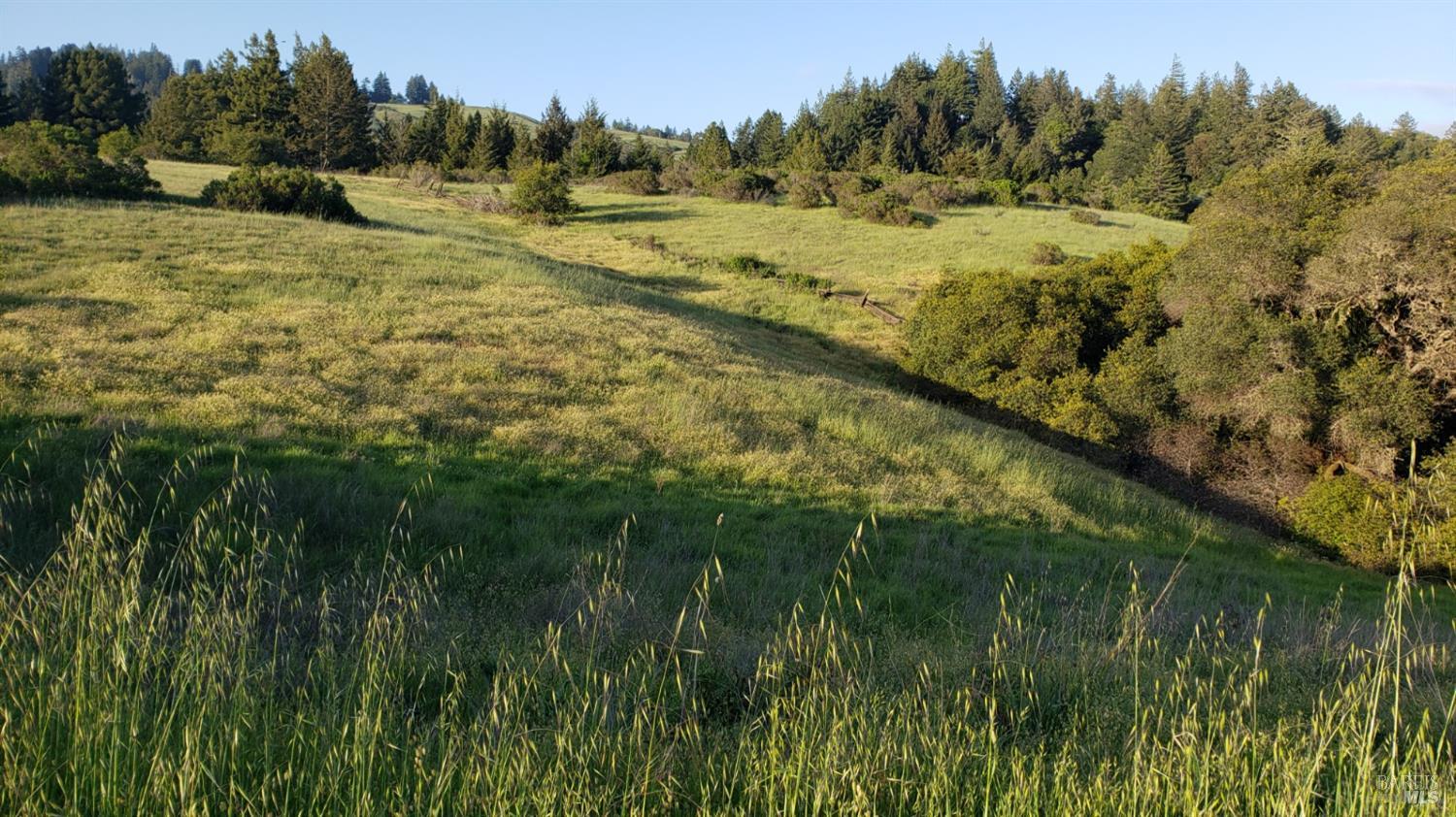 2333 Guntley Road Philo CA 95466