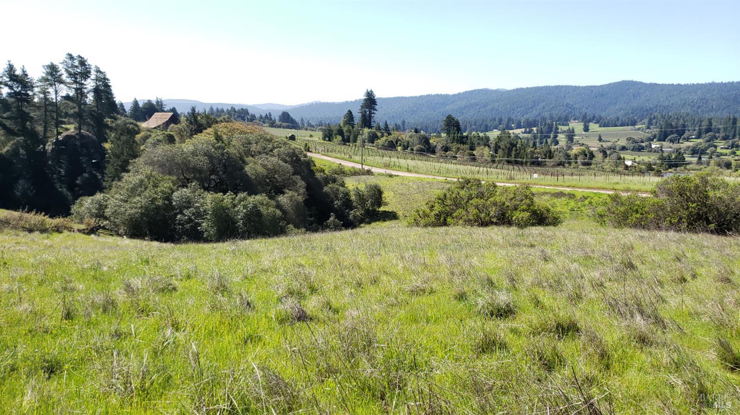 2333 Guntley Road Philo CA 95466