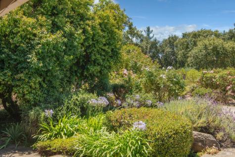 143 Loma Vista Drive Sonoma CA 95476