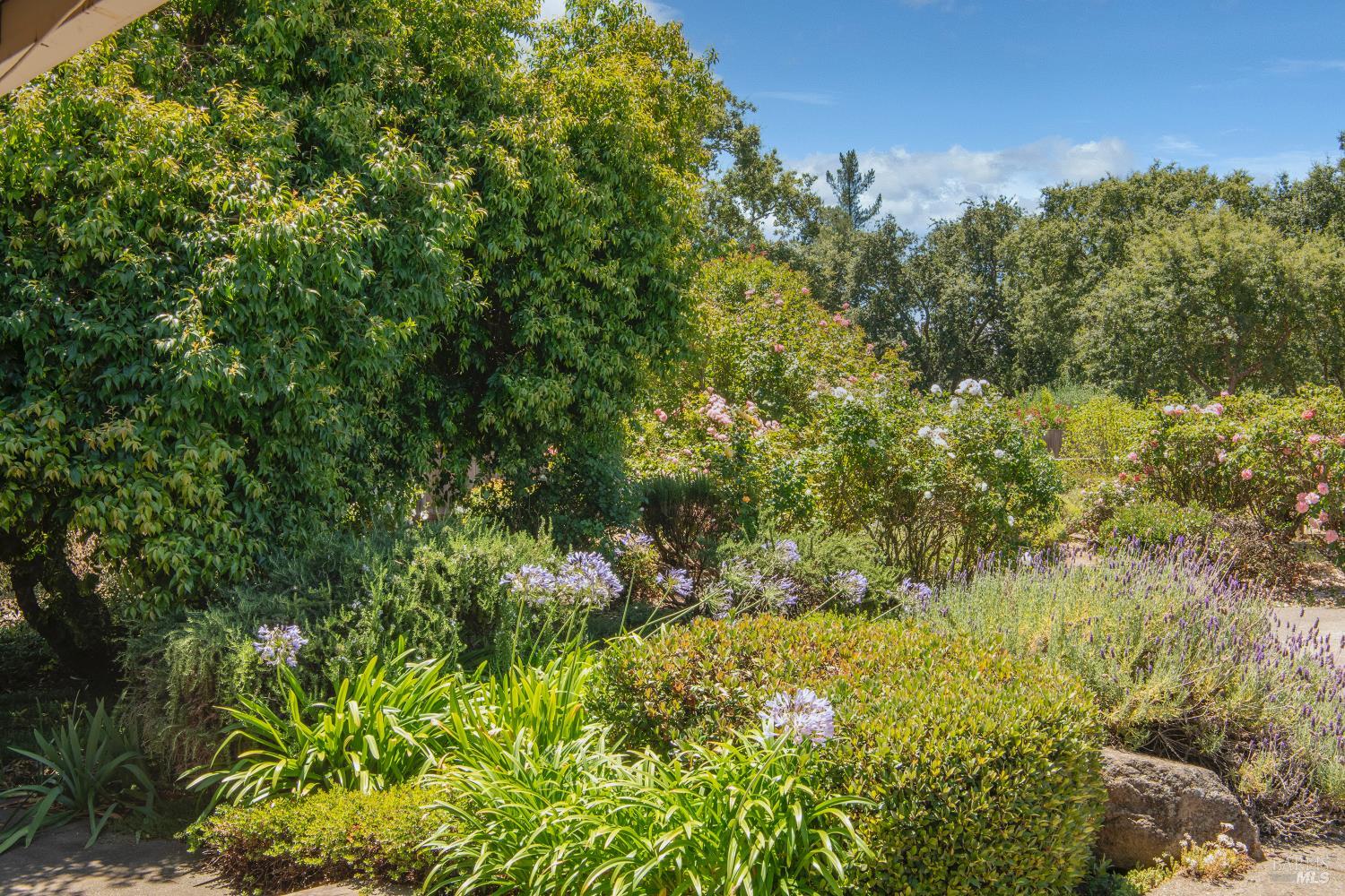 143 Loma Vista Drive Sonoma CA 95476