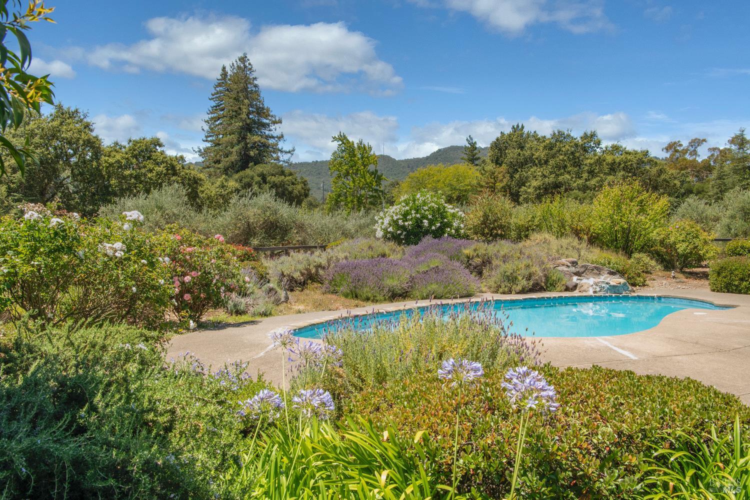 143 Loma Vista Drive Sonoma CA 95476