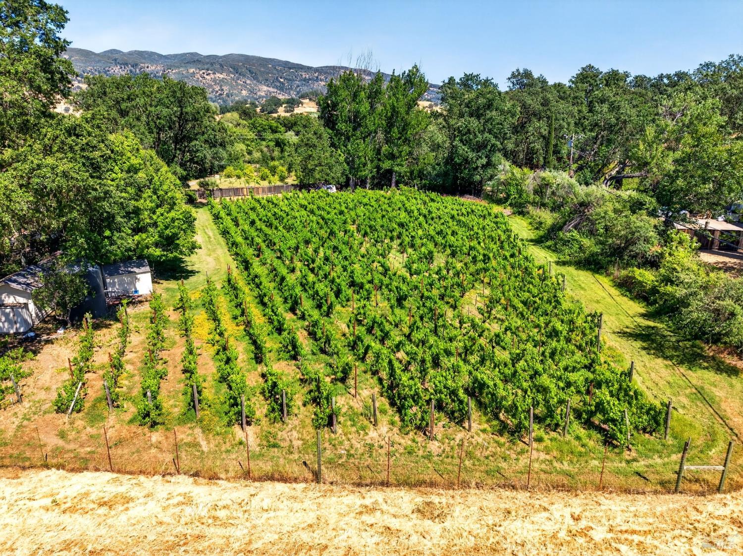 810 Mcnab Ranch Road Ukiah CA 95482