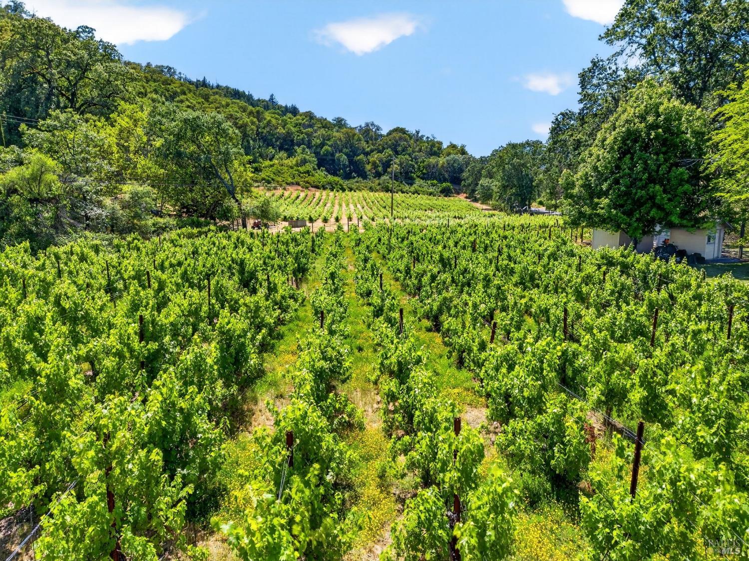810 Mcnab Ranch Road Ukiah CA 95482