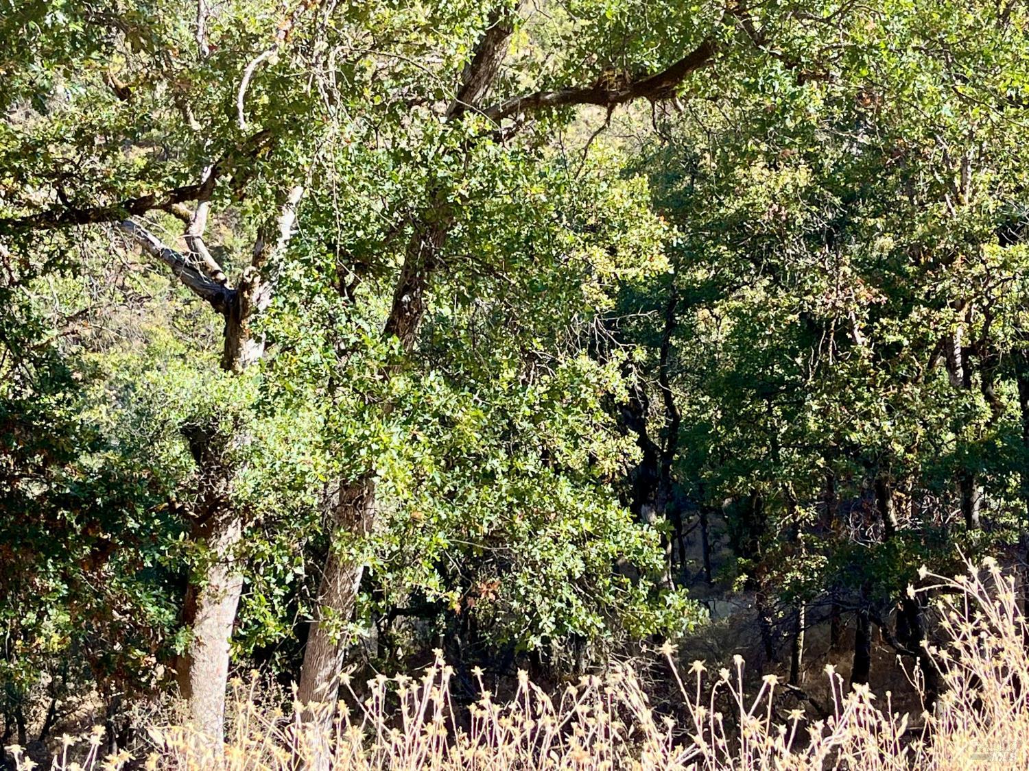 3100 Eel River Ranch Road Covelo CA 95428
