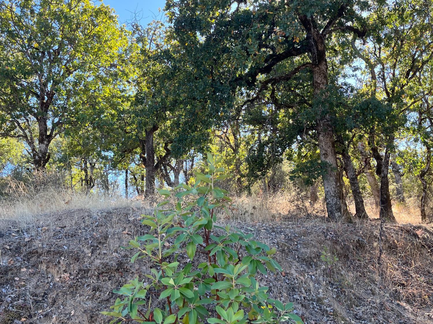 3100 Eel River Ranch Road Covelo CA 95428