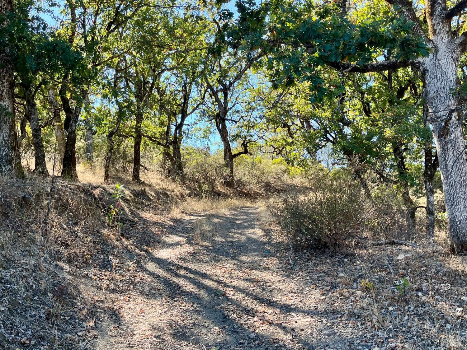 3100 Eel River Ranch Road Covelo CA 95428