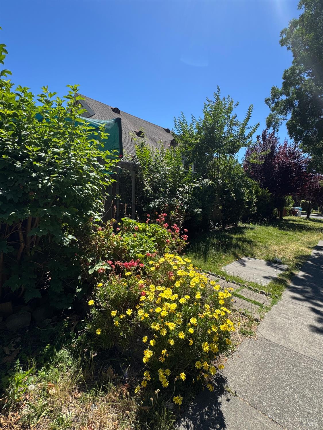 2194 Naomi Place NW Santa Rosa CA 95403