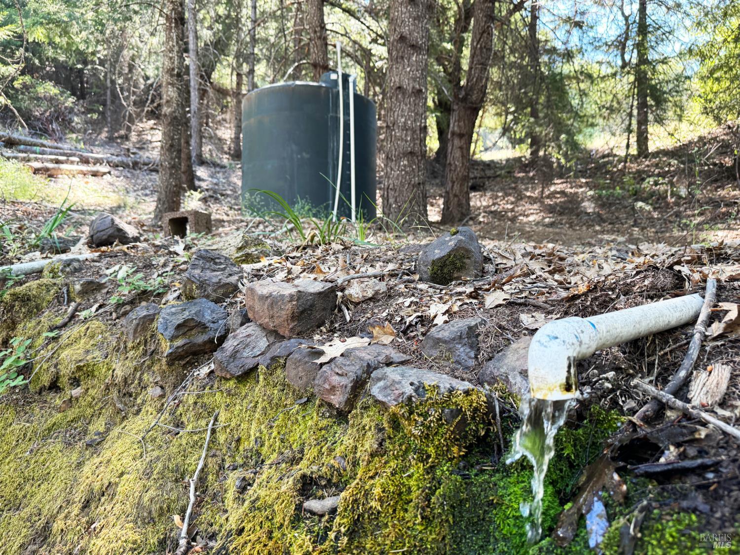 5800 Spyrock Road Laytonville CA 95454
