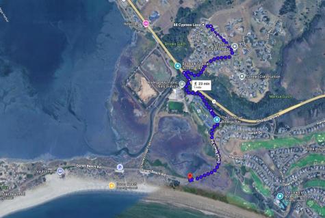 88 Cypress Loop Bodega Bay CA 94923