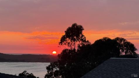88 Cypress Loop Bodega Bay CA 94923