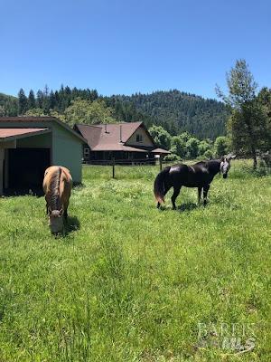 7001 Hearst Willits Road Willits CA 95490