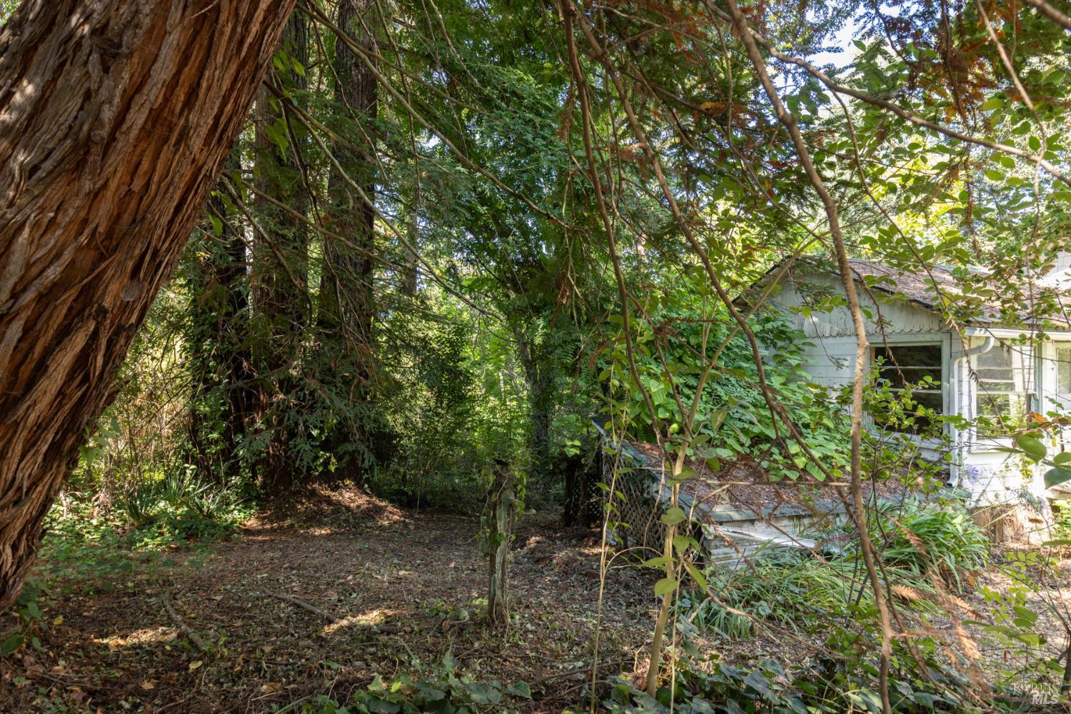 8781 Graton Road Graton CA 95472