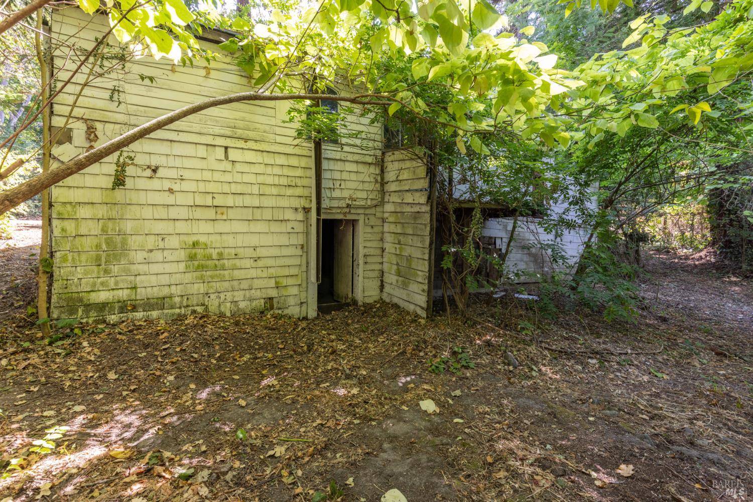 8781 Graton Road Graton CA 95472