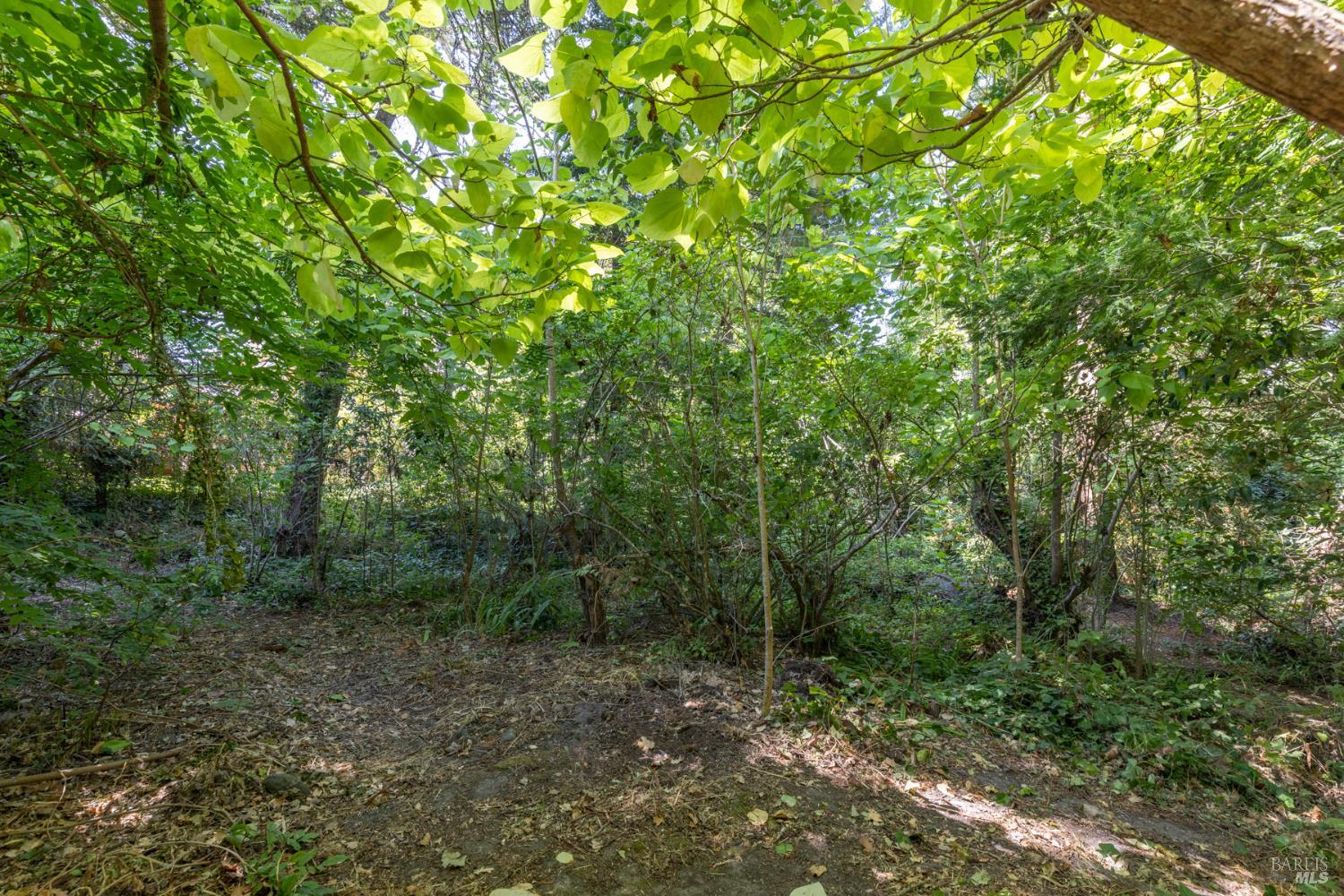 8781 Graton Road Graton CA 95472