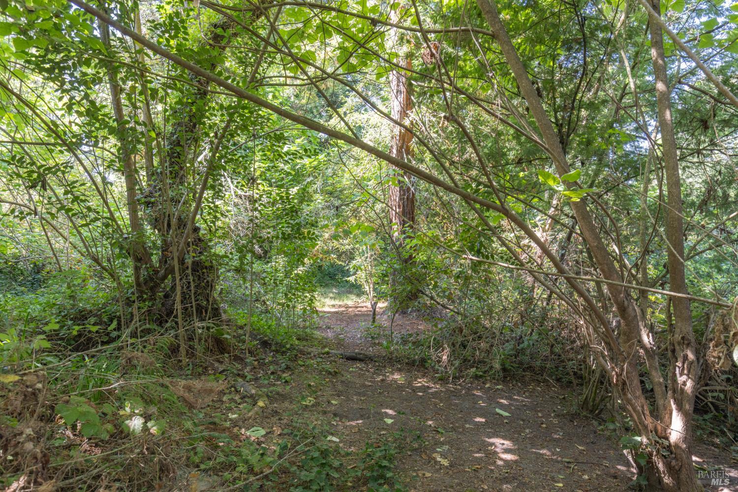 8781 Graton Road Graton CA 95472