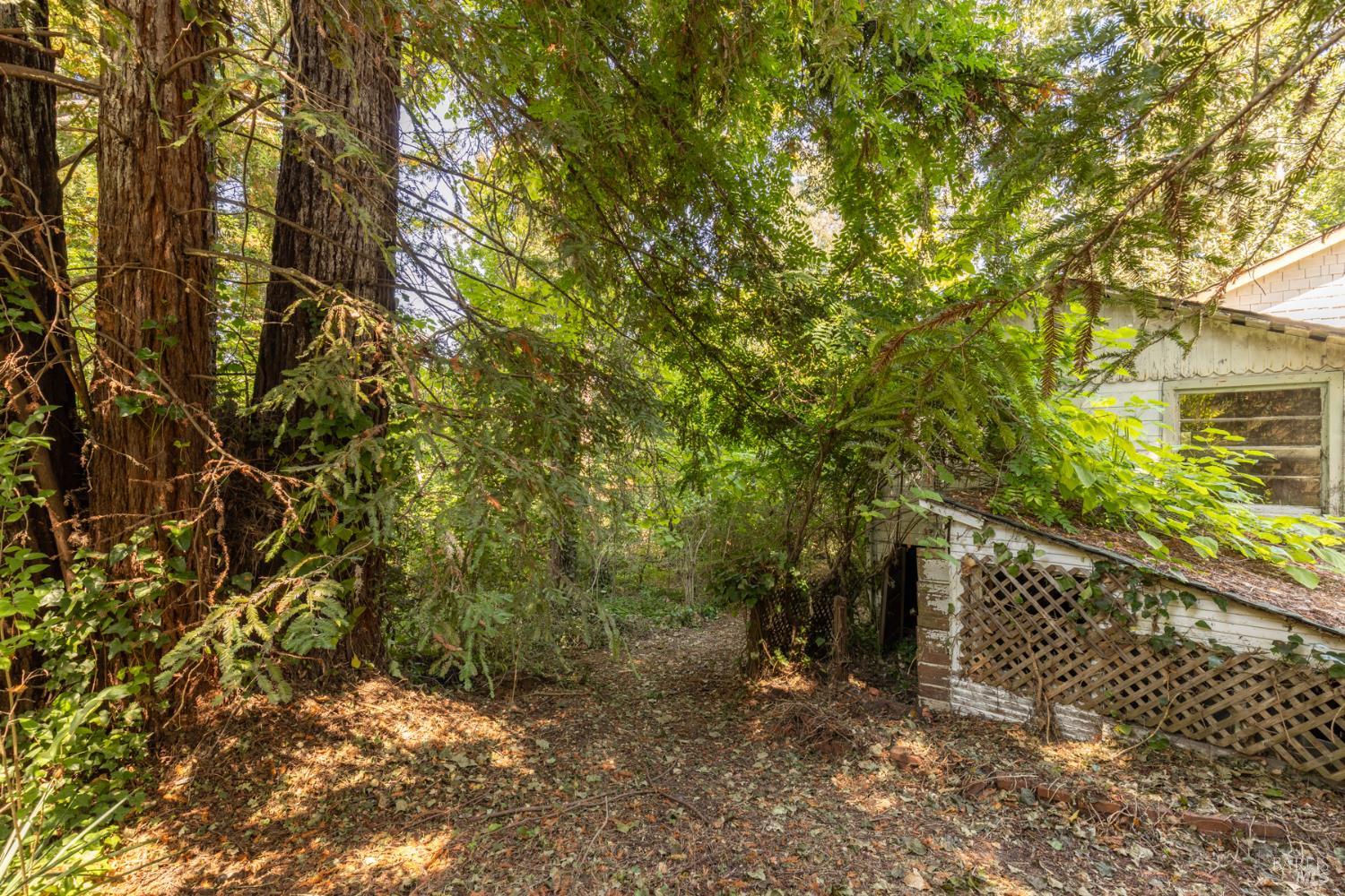 8781 Graton Road Graton CA 95472