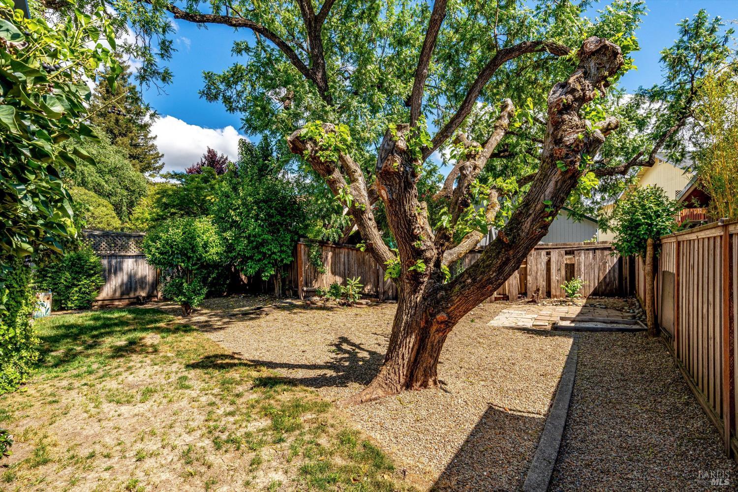 382 Dechene Avenue Sonoma CA 95476