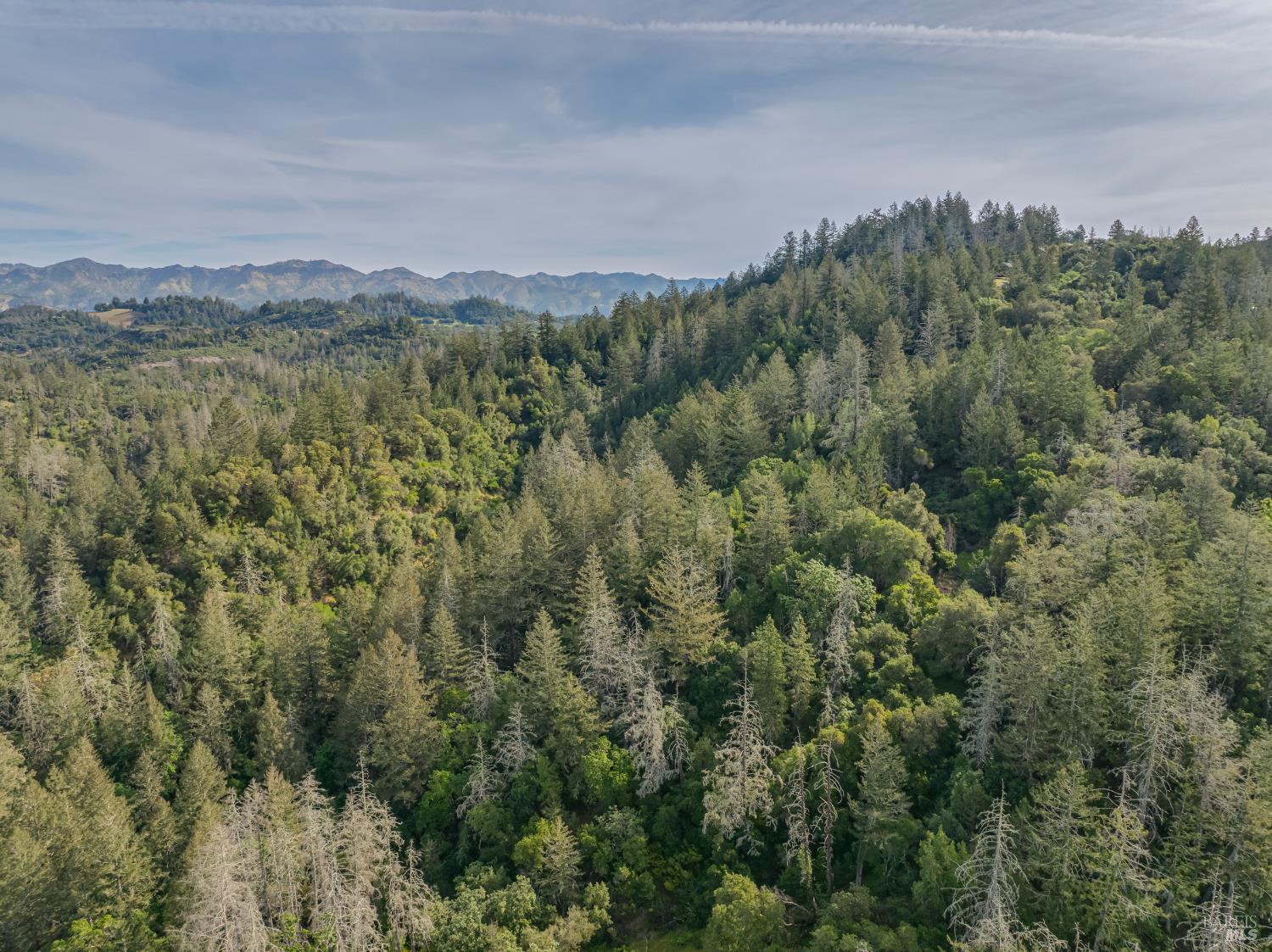 3700 Calistoga Road Santa Rosa CA 95404