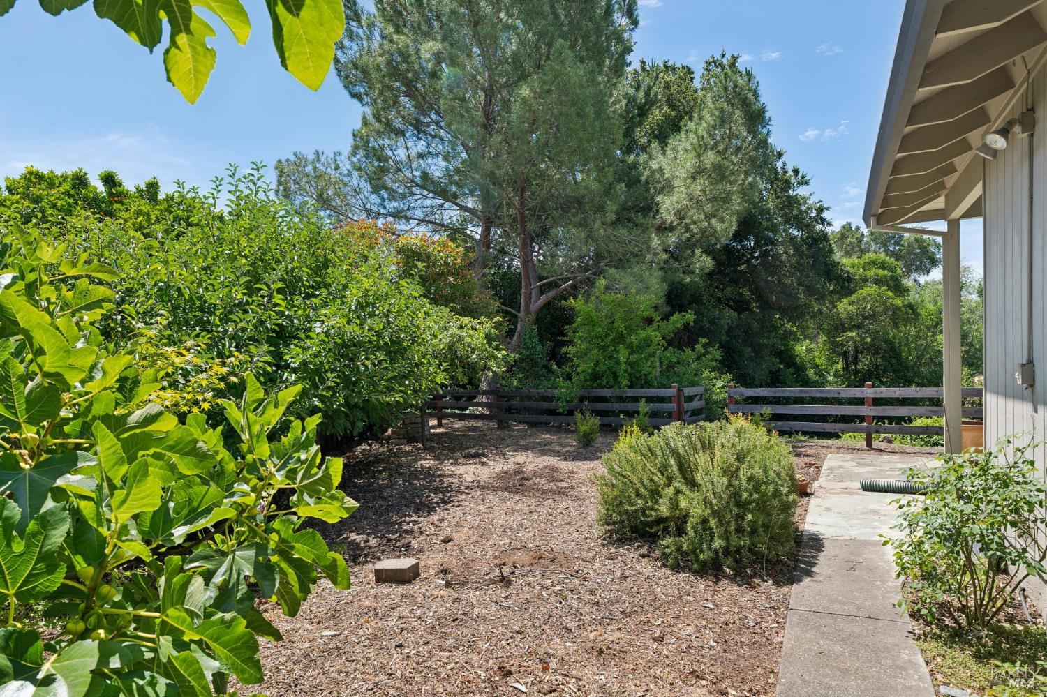 1296 Orchard Street Healdsburg CA 95448
