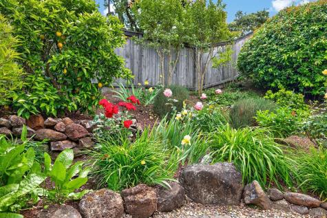 5992 Stone Bridge Road Santa Rosa CA 95409