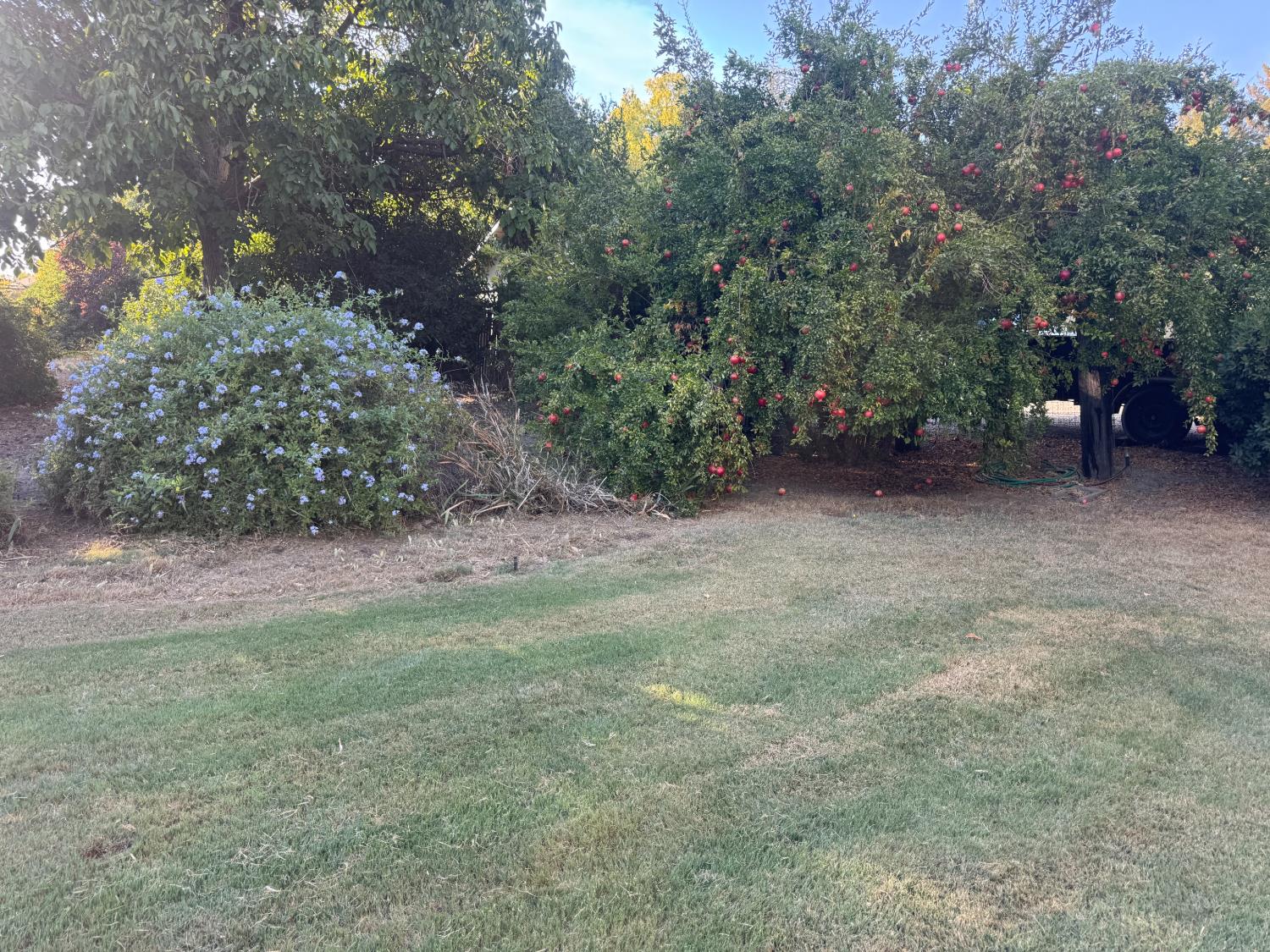 25397 County Road 96 Davis CA 95616
