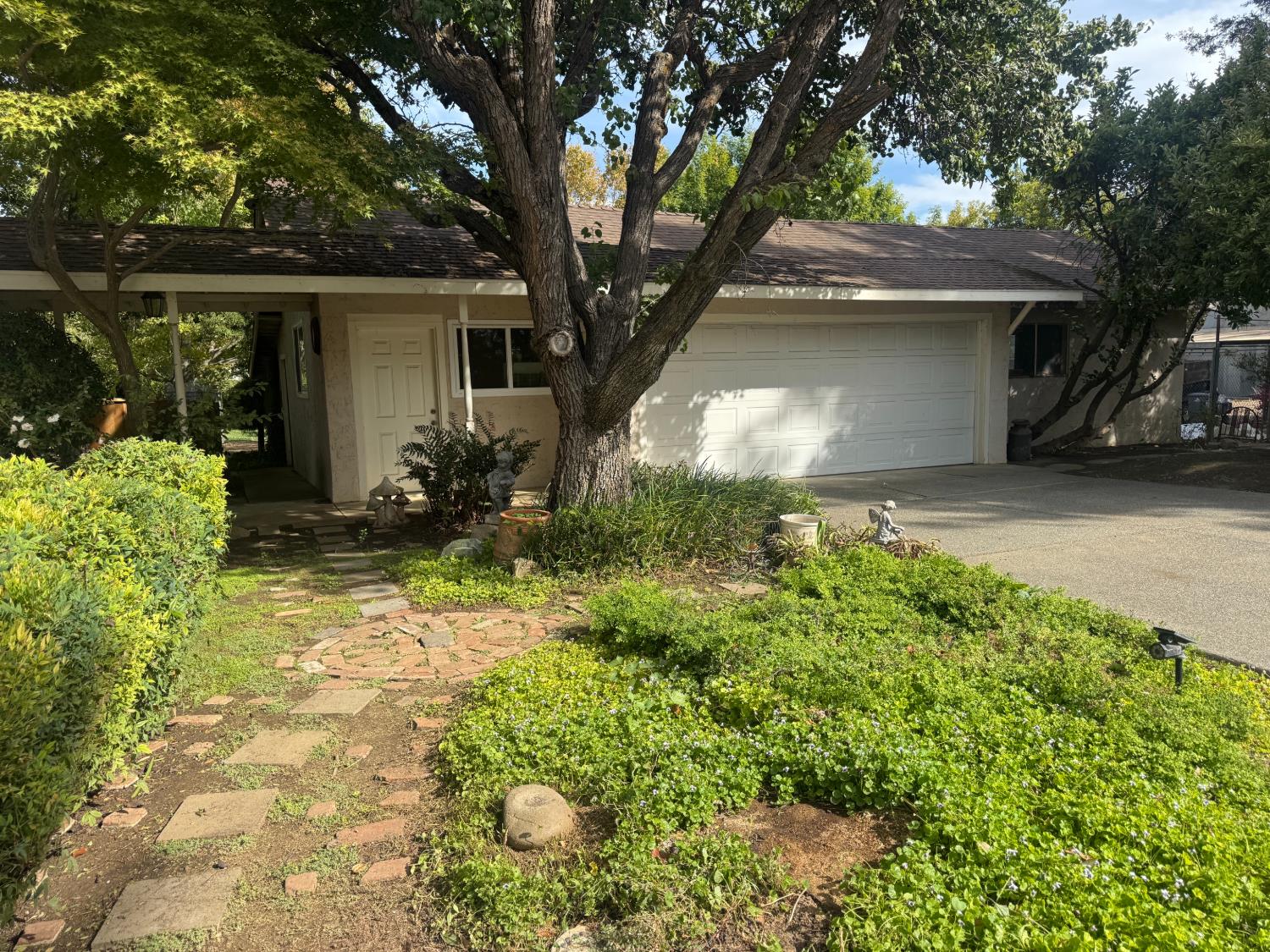 25397 County Road 96 Davis CA 95616