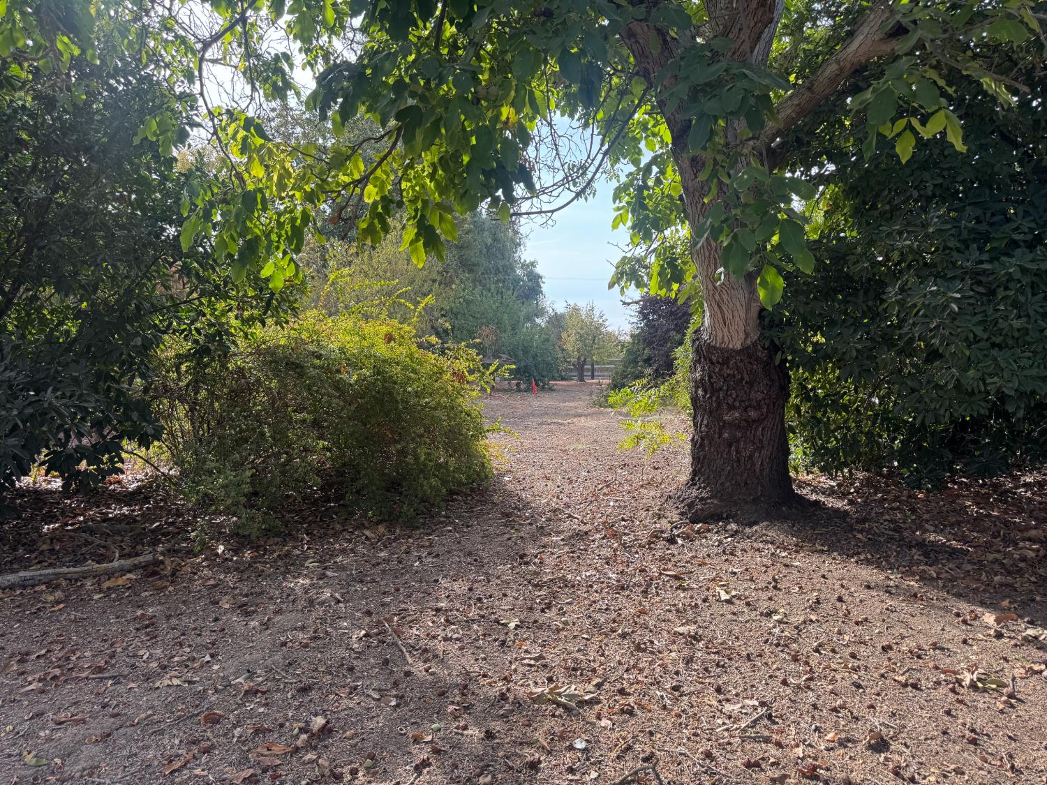 25397 County Road 96 Davis CA 95616