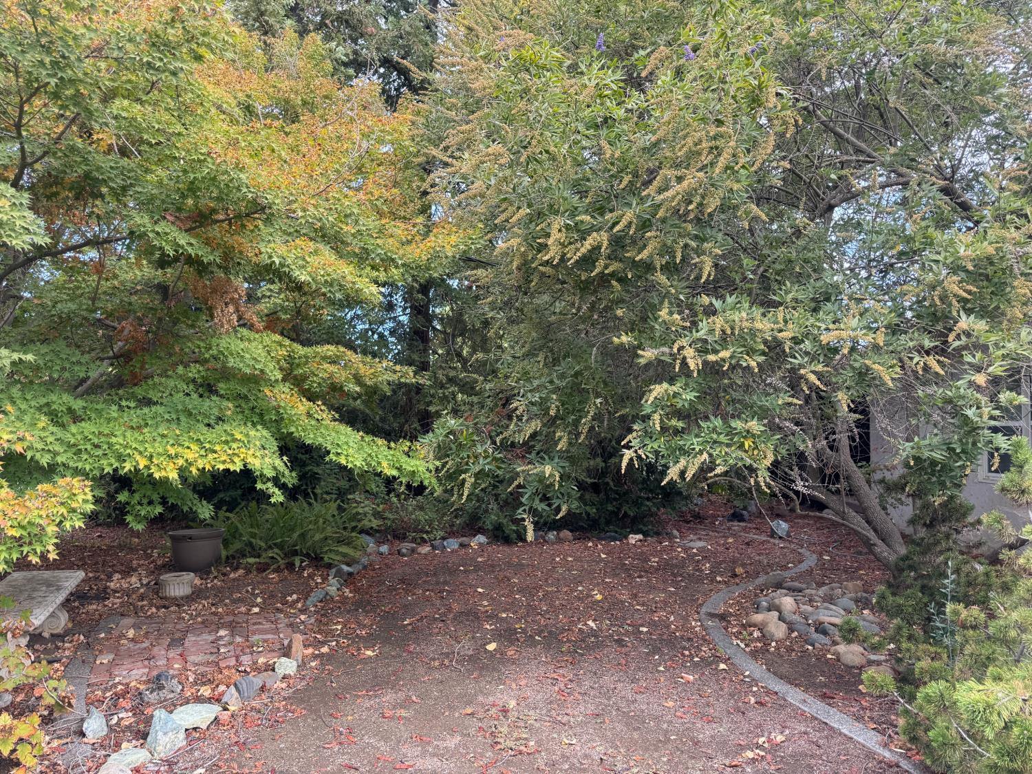 25397 County Road 96 Davis CA 95616
