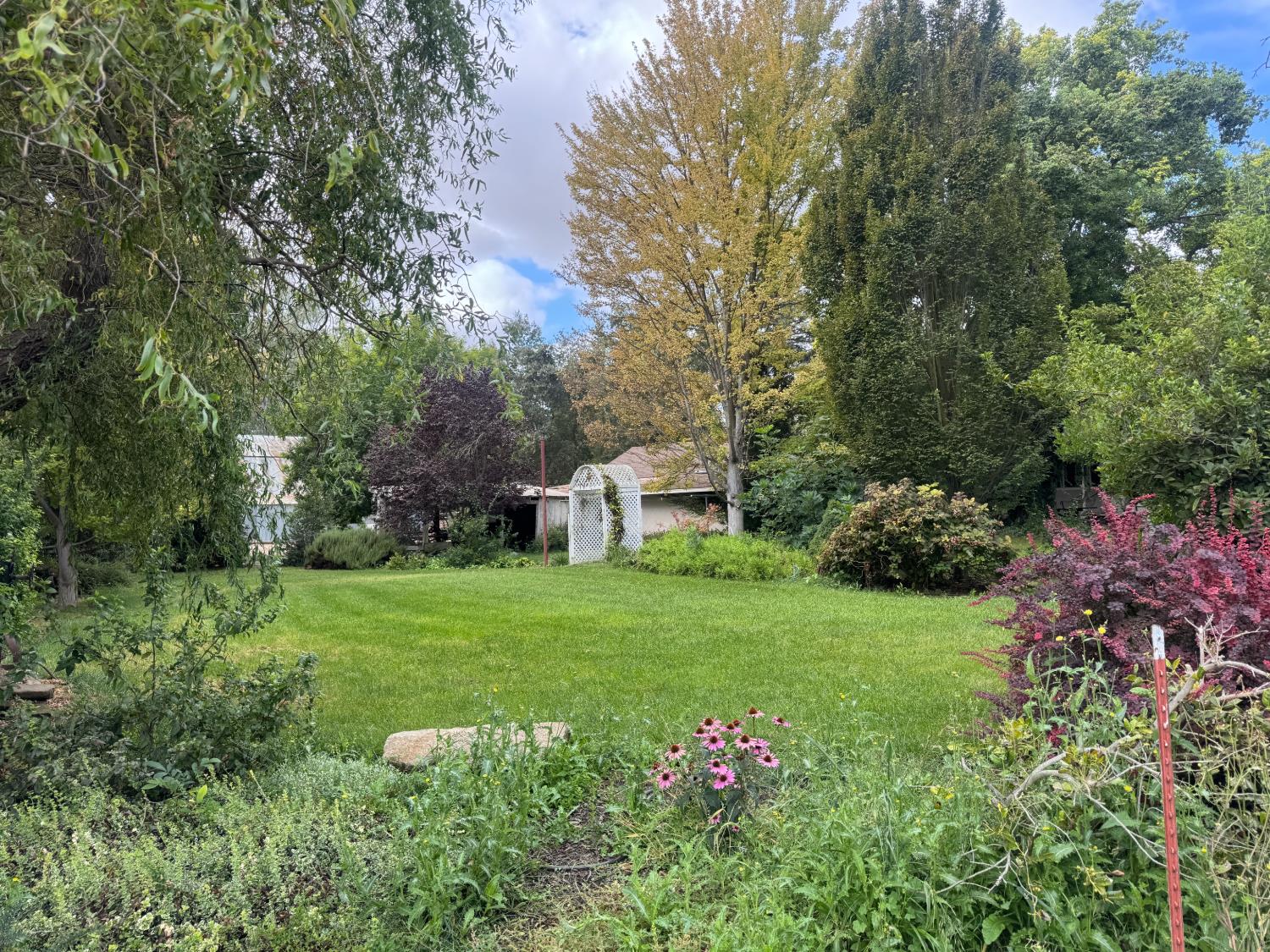25397 County Road 96 Davis CA 95616