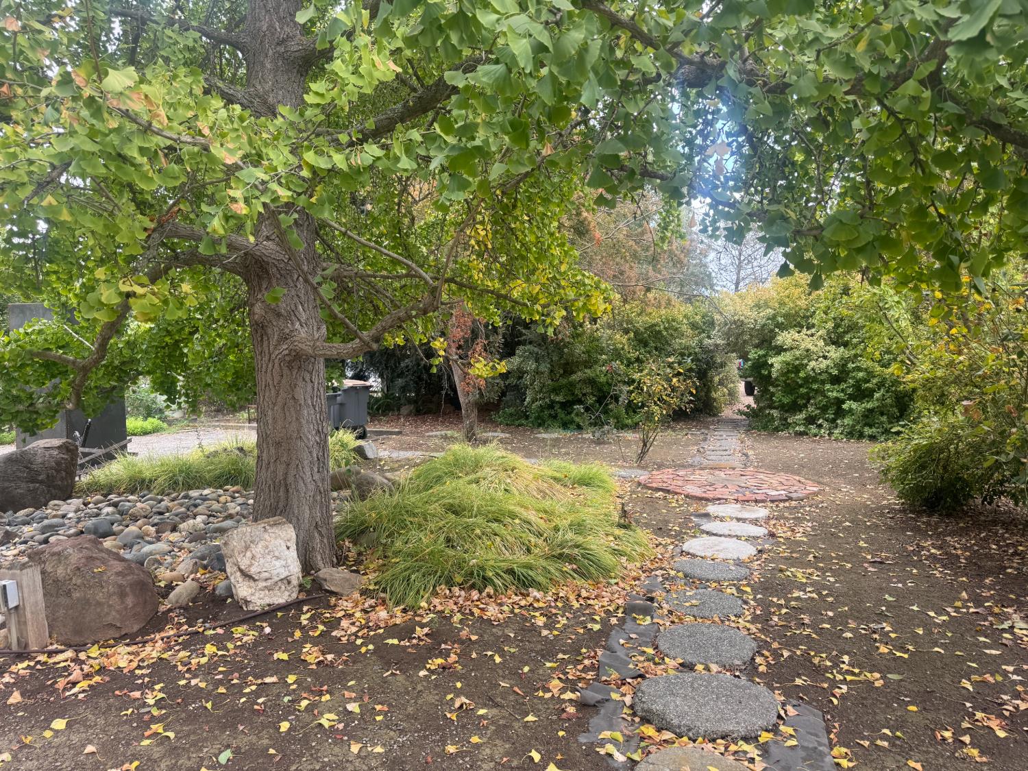 25397 County Road 96 Davis CA 95616