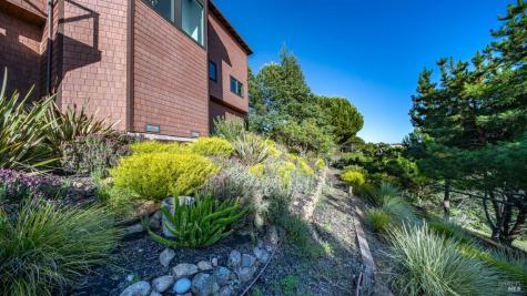 23 Venado Drive Tiburon CA 94920