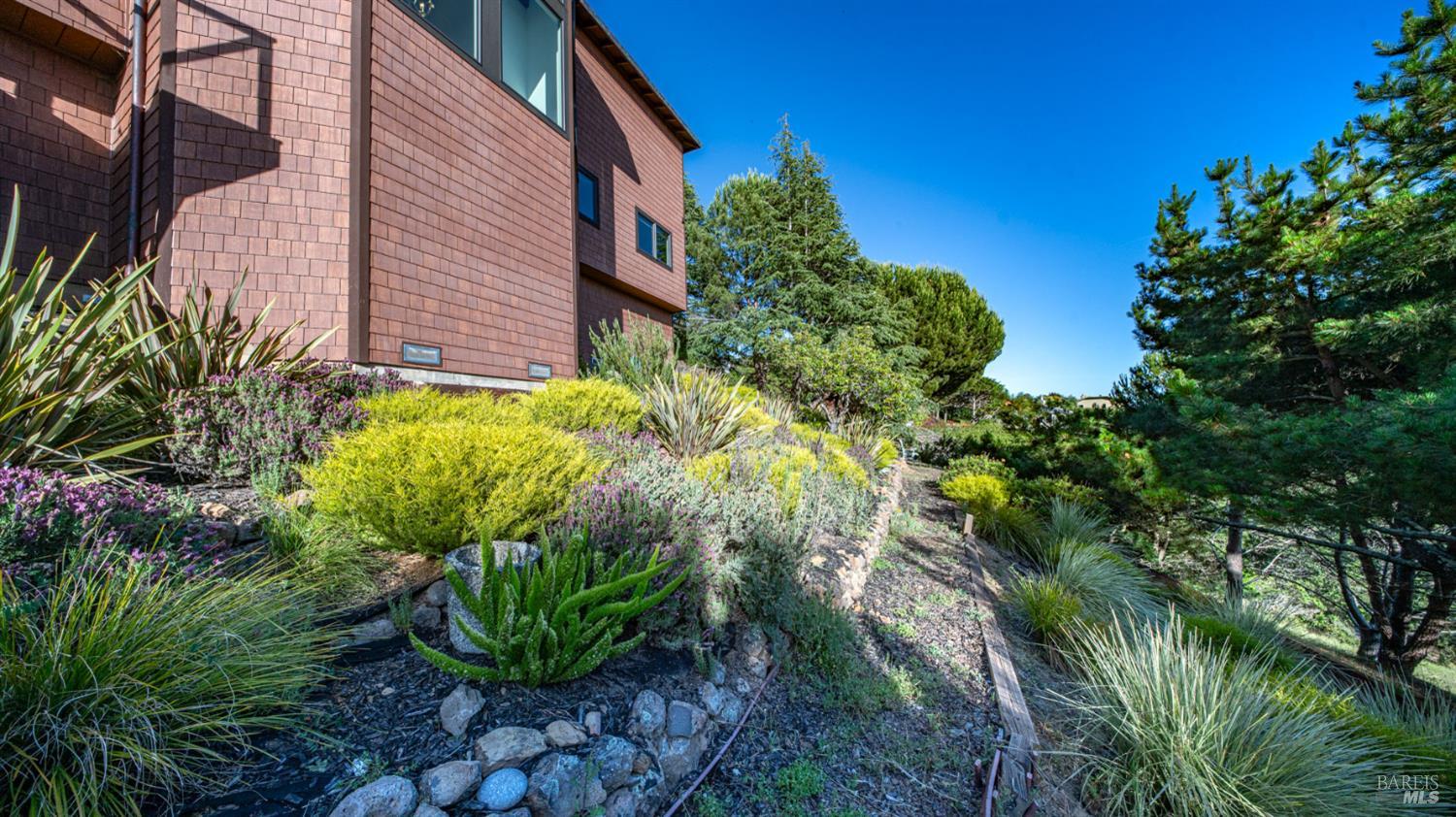 23 Venado Drive Tiburon CA 94920