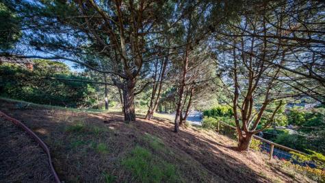 23 Venado Drive Tiburon CA 94920