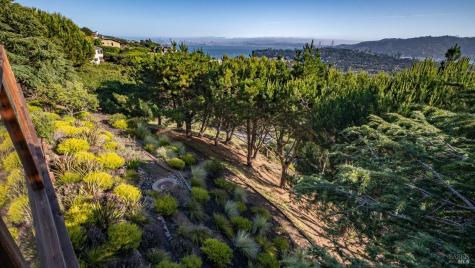 23 Venado Drive Tiburon CA 94920