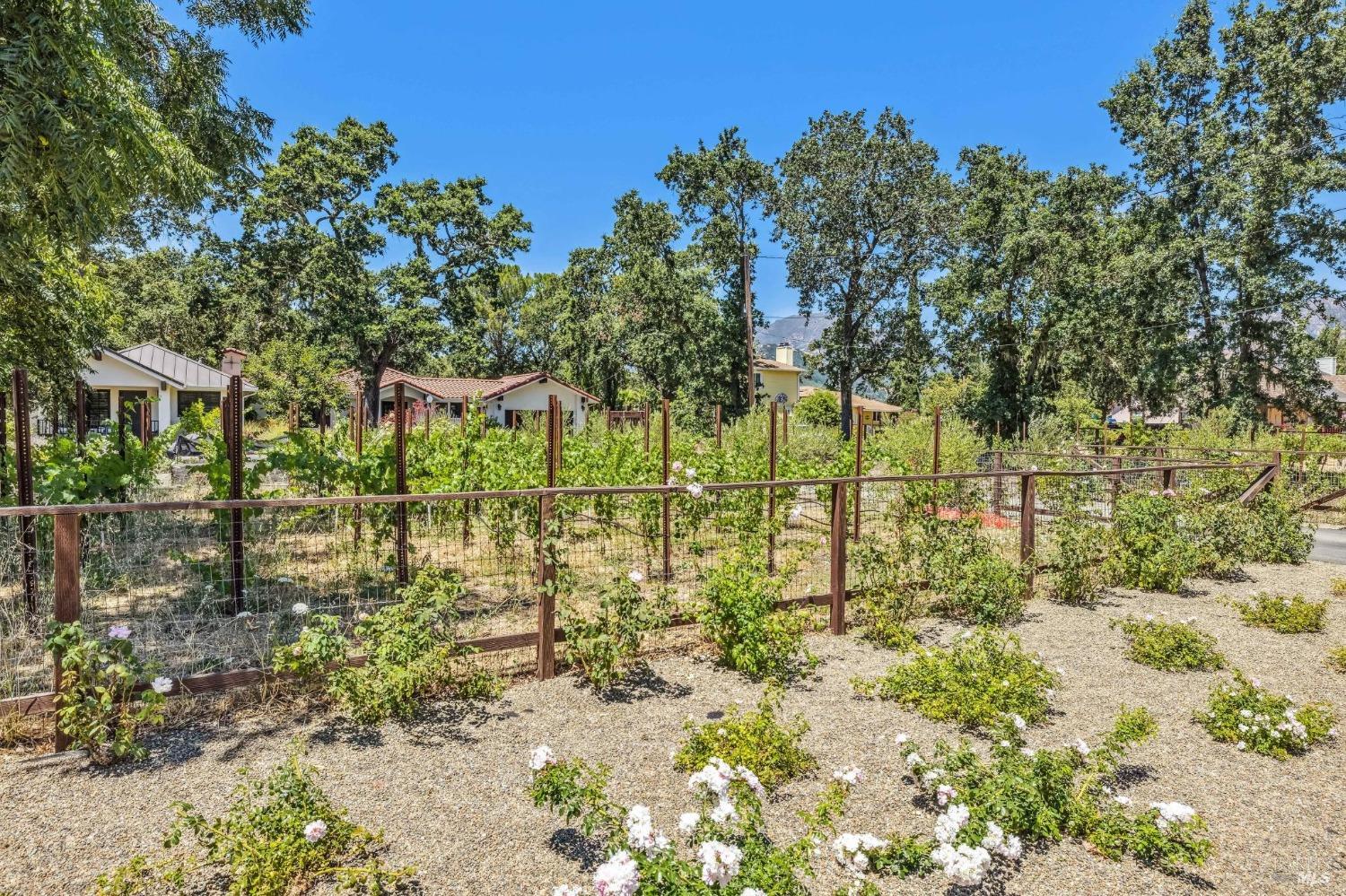 1929 Mora Avenue Calistoga CA 94515