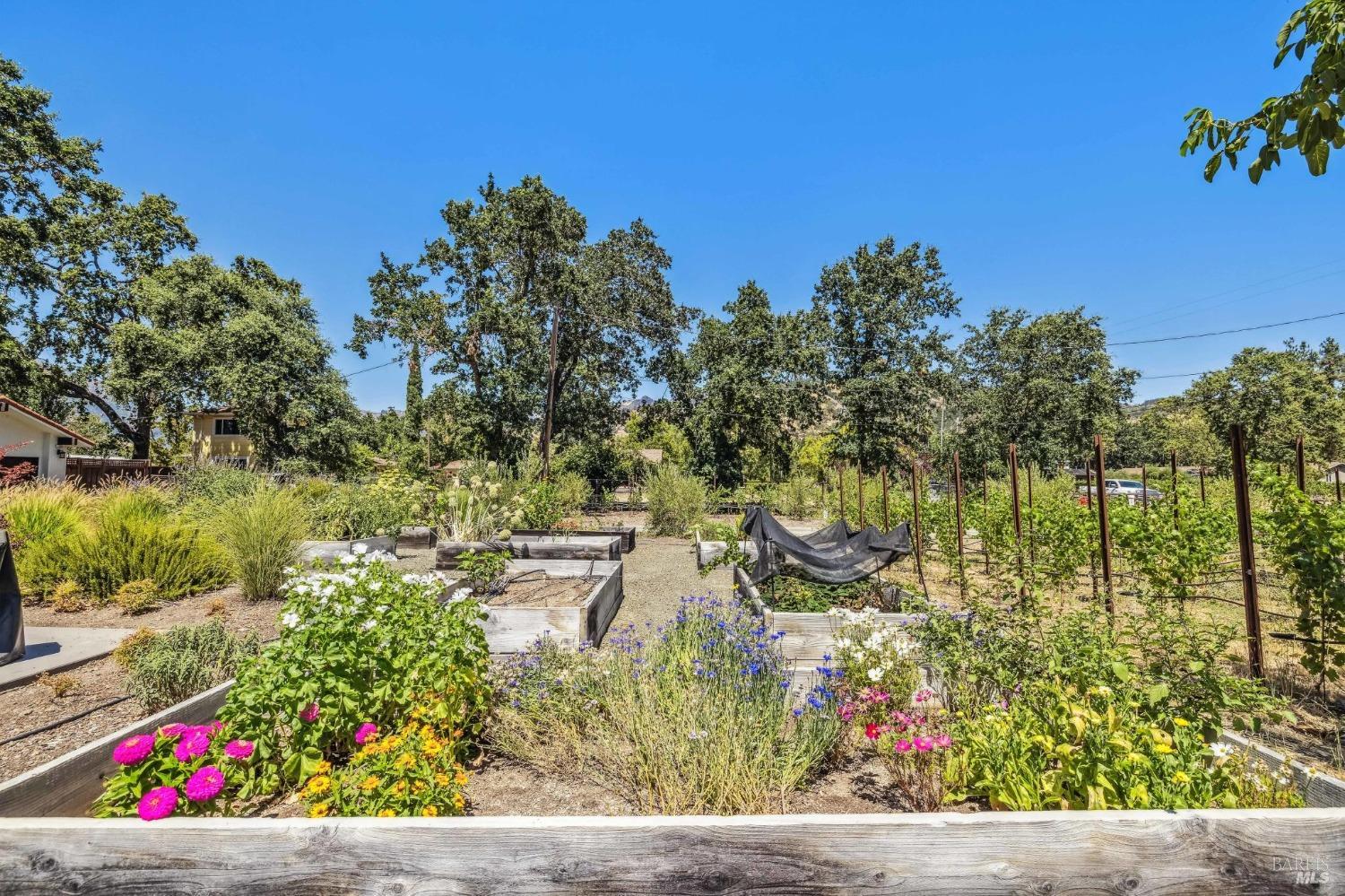 1929 Mora Avenue Calistoga CA 94515