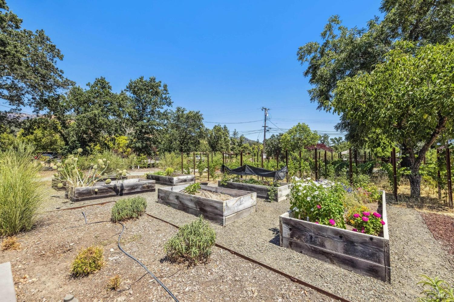 1929 Mora Avenue Calistoga CA 94515