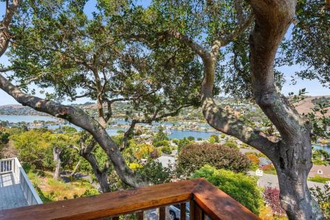 35 Oak Place Belvedere CA 94920