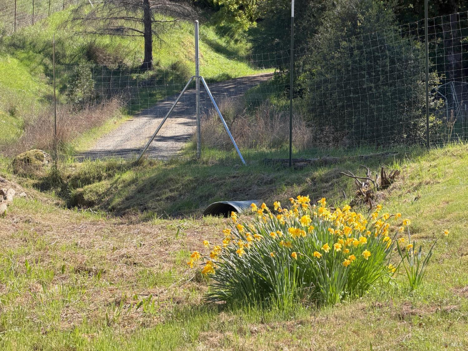 2501 Main Ranch Road Redwood Valley CA 95470