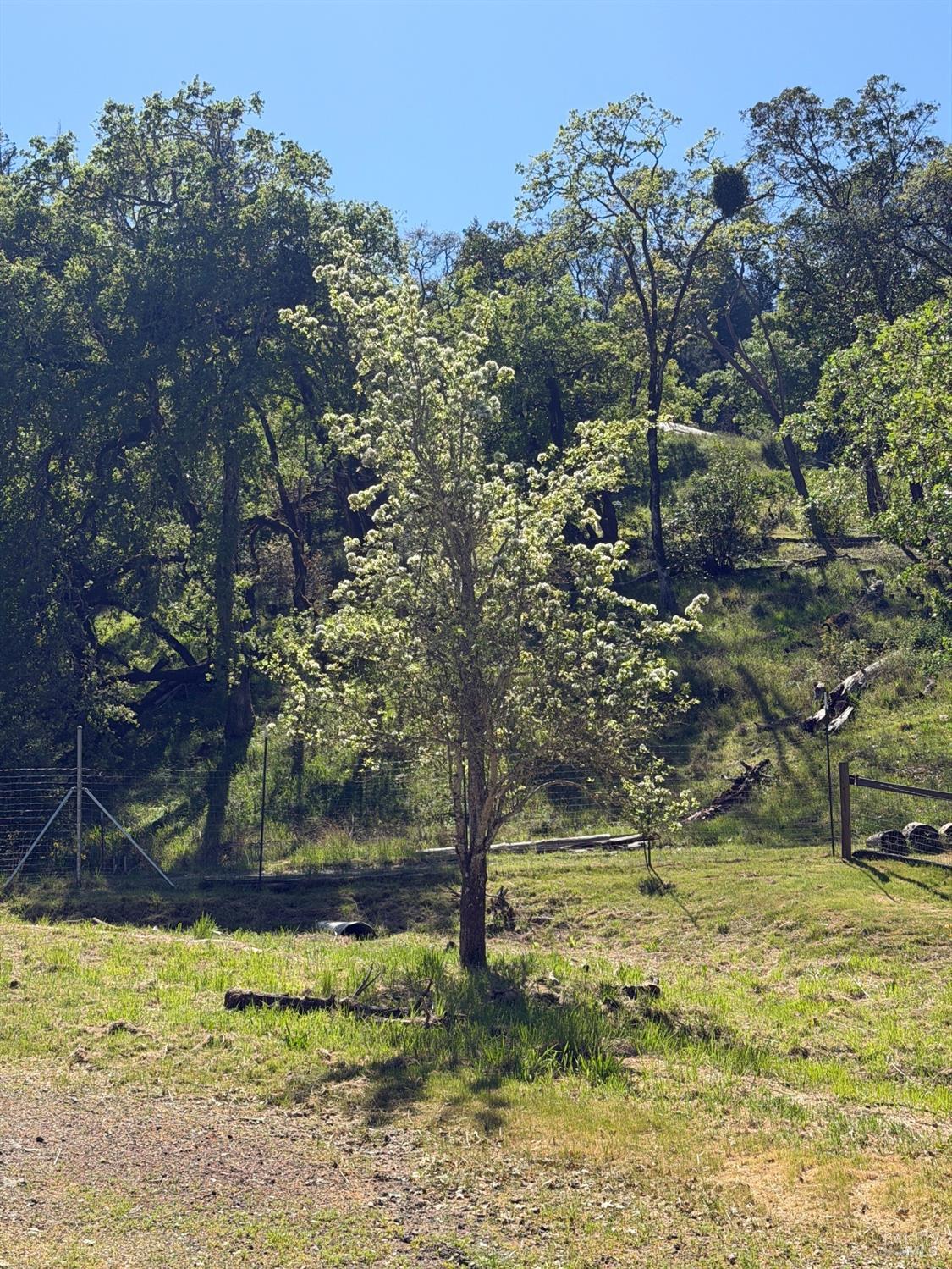 2501 Main Ranch Road Redwood Valley CA 95470