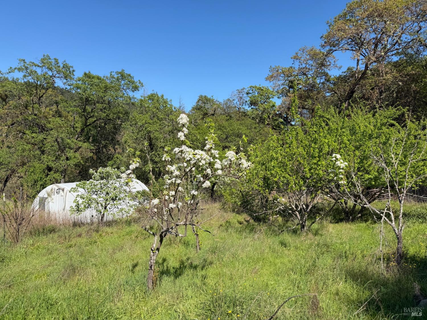 2501 Main Ranch Road Redwood Valley CA 95470
